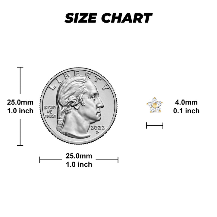 14k Gold Classic Flower CZ Stud