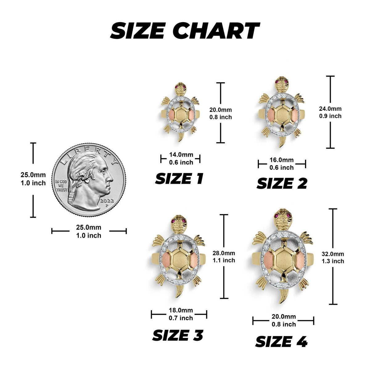 Size chart for tricolor gold turtle rings comparing four different dimensions against a US quarter.