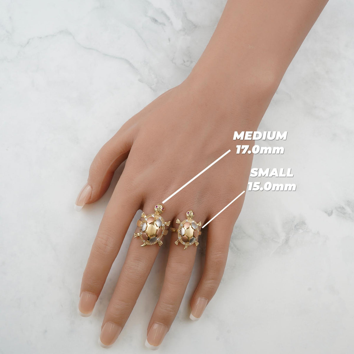 Hand wearing medium 17.0mm and small 15.0mm gold turtle locket rings with size labels