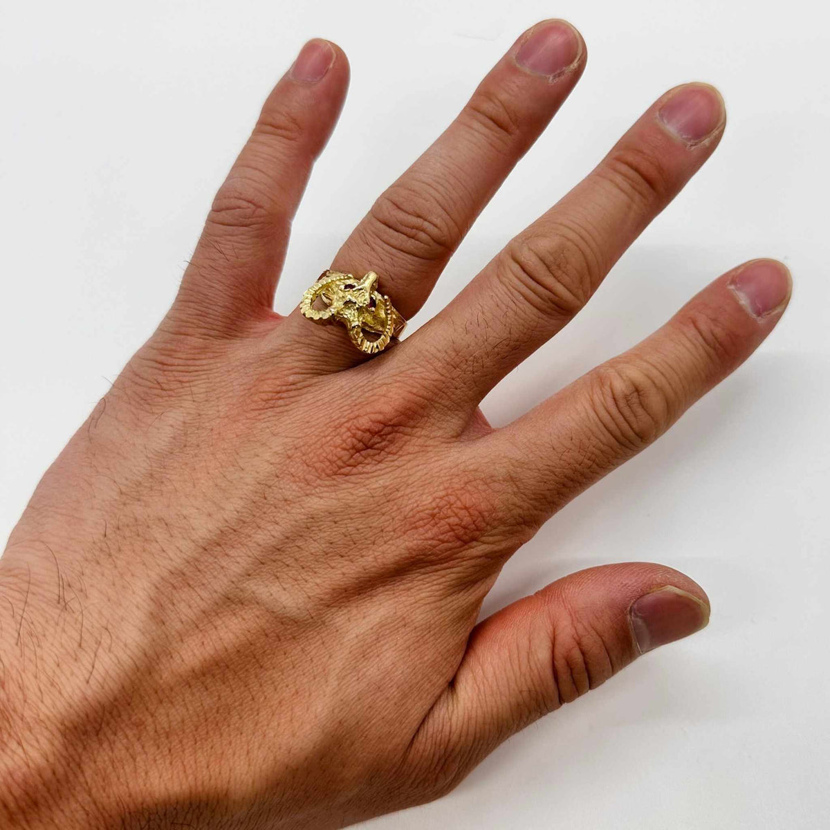 Hand wearing a 14k gold ring with Bighorn Sheep Red Eye design 