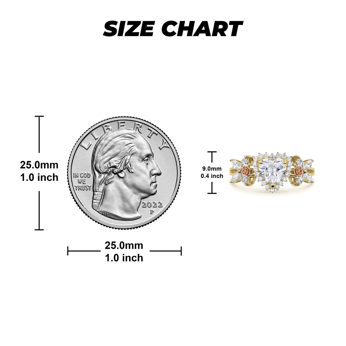Ring size chart comparing a US quarter to a 14k gold heart birthstone ring
