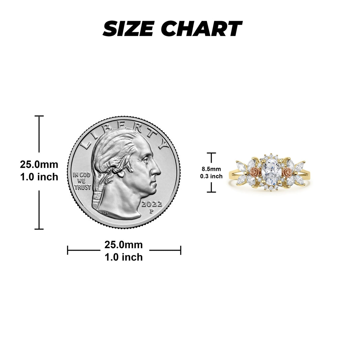 Ring size chart comparing a US quarter to a 14k gold birthstone rose ring.