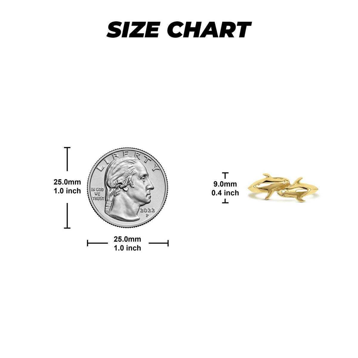 Size chart for 14k gold Kari dual dolphin ring comparing width to a quarter.