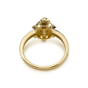 Back view of a tri-color gold turtle ring lying flat on white background.