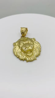 10k Gold Matte Lion DC Pendant